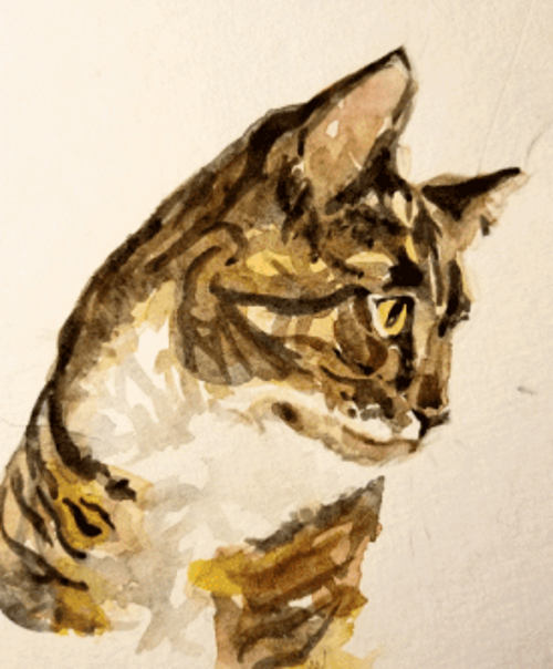 Watercolor Cat