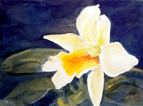 Orchid Lesson